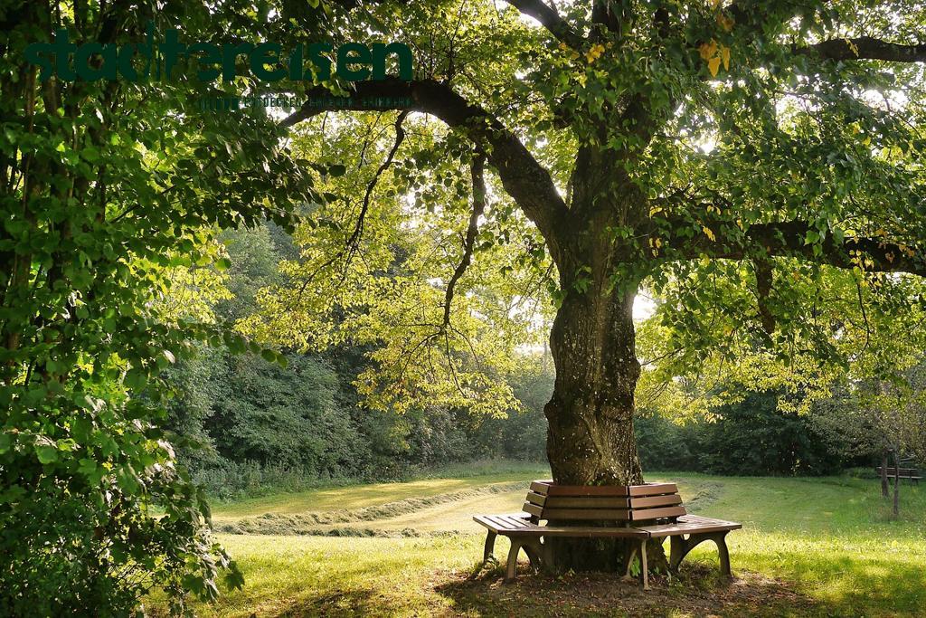 Orte, An Denen Stadt Und Natur Spektakulär Verschmelzen