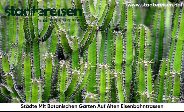 Städte Mit Botanischen Gärten Auf Alten Eisenbahntrassen