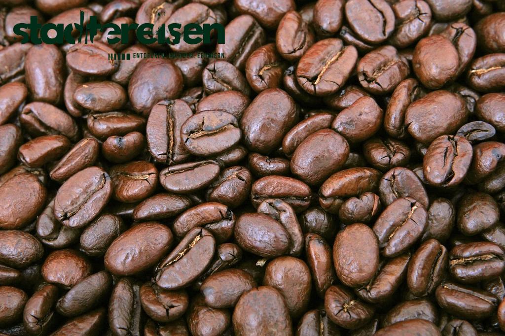 Städte Mit Geheimen Tunnelcafés Unter Einkaufszentren