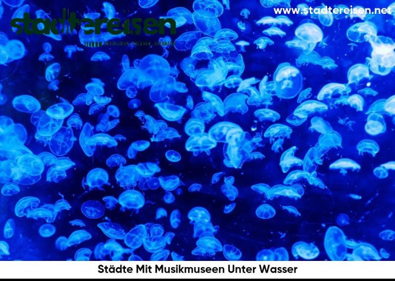 Städte Mit Musikmuseen Unter Wasser