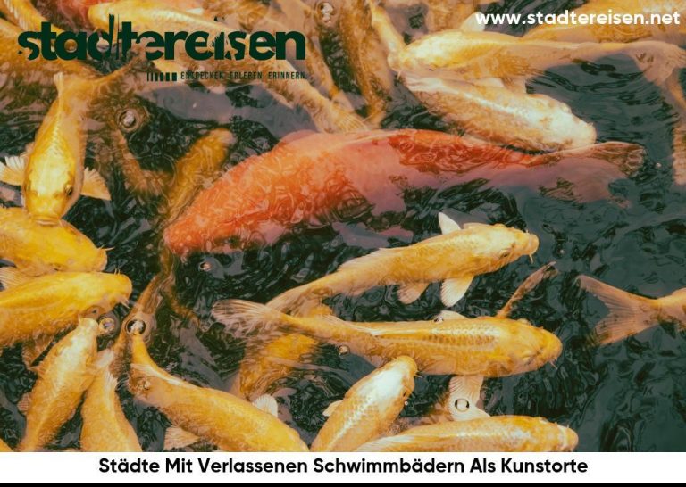 Städte Mit Verlassenen Schwimmbädern Als Kunstorte