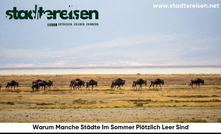 Warum Manche Städte Im Sommer Plötzlich Leer Sind