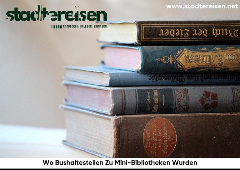 Wo Bushaltestellen Zu Mini-Bibliotheken Wurden