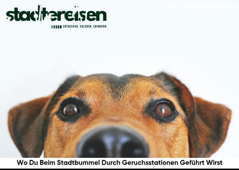 Wo Du Beim Stadtbummel Durch Geruchsstationen Geführt Wirst
