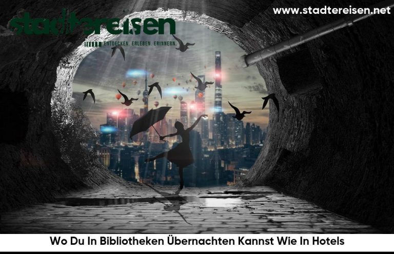 Wo Du In Bibliotheken Übernachten Kannst Wie In Hotels