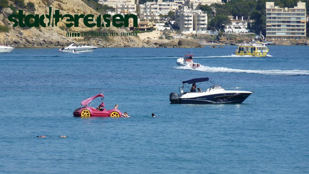 Wo Du Stadtführungen Im Tretboot Bekommst