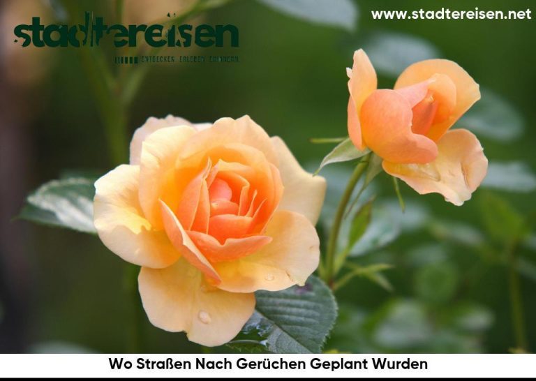 Wo Straßen Nach Gerüchen Geplant Wurden